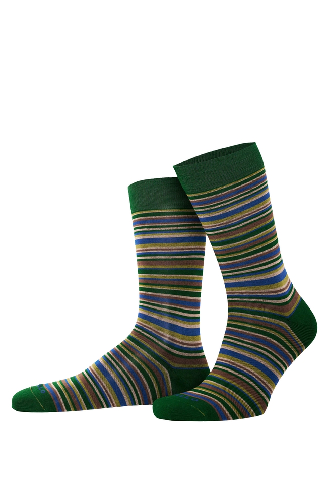 Носки мужские разноцветные Calze 1