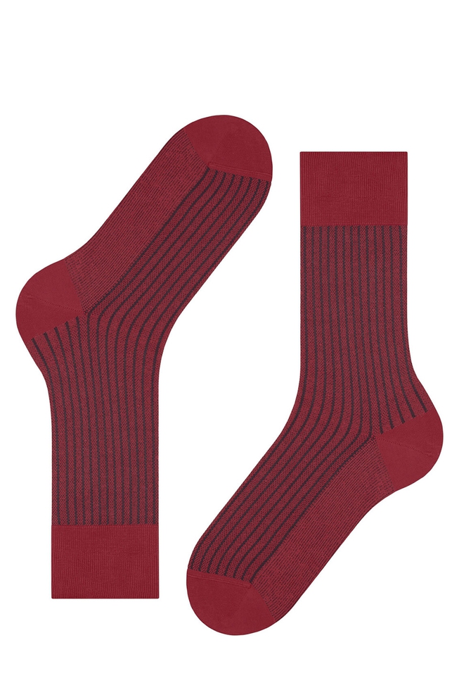 Носки мужские бордовые Oxford Stripe 4