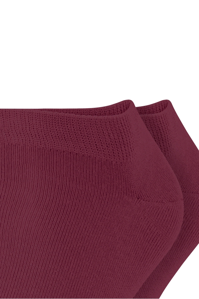 Набор мужских бордовых носков 2 пары 5