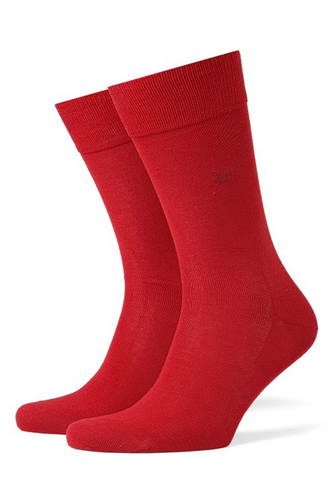 Носки мужские 5