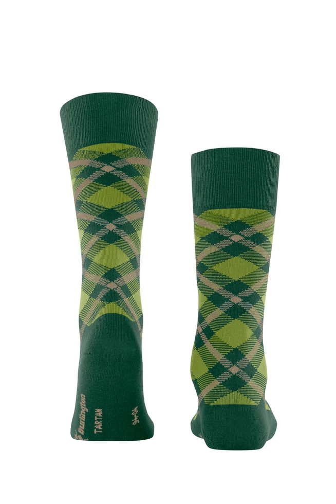 Носки мужские зелёные Tartan 2