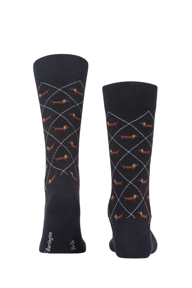 Носки мужские черные Dachshund 2