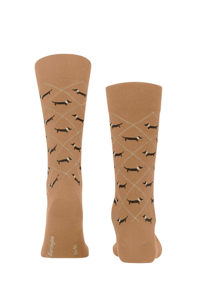 Носки мужские коричневые Dachshund 2