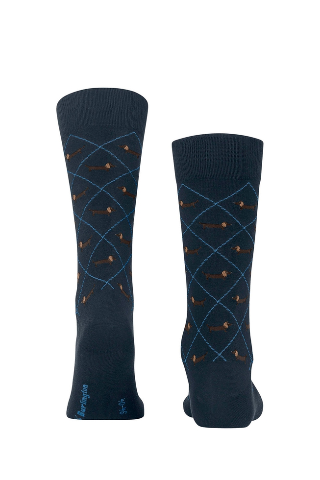 Носки мужские синие Dachshund 2