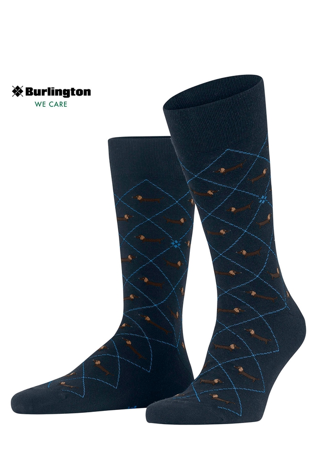 Носки мужские синие Dachshund 1