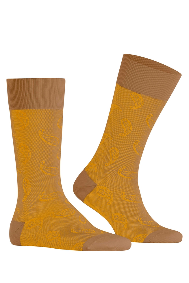 Носки мужские коричневые Paisley 3