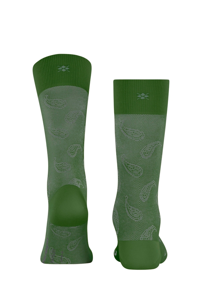Носки мужские зелёные Paisley 2