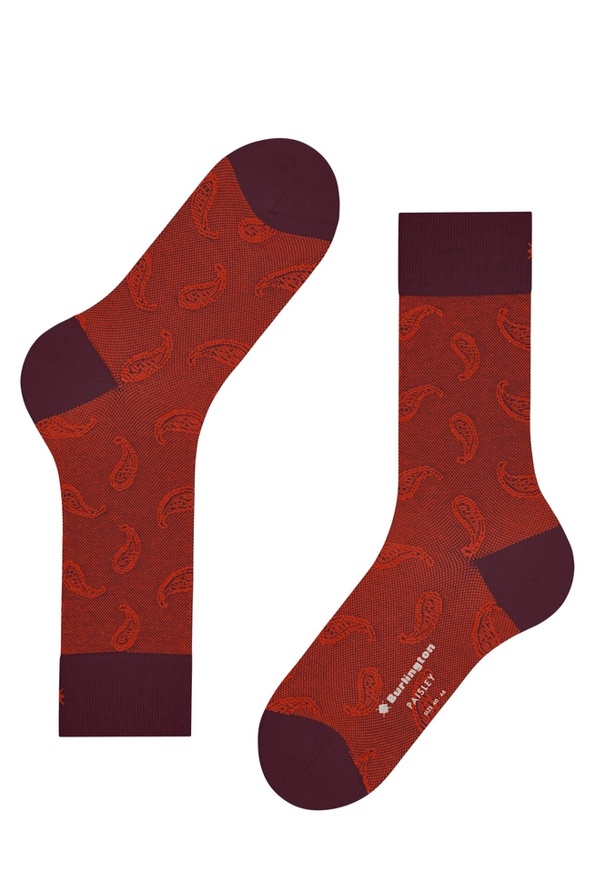 Носки мужские бордовые Paisley 4