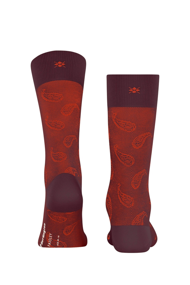 Носки мужские бордовые Paisley 2