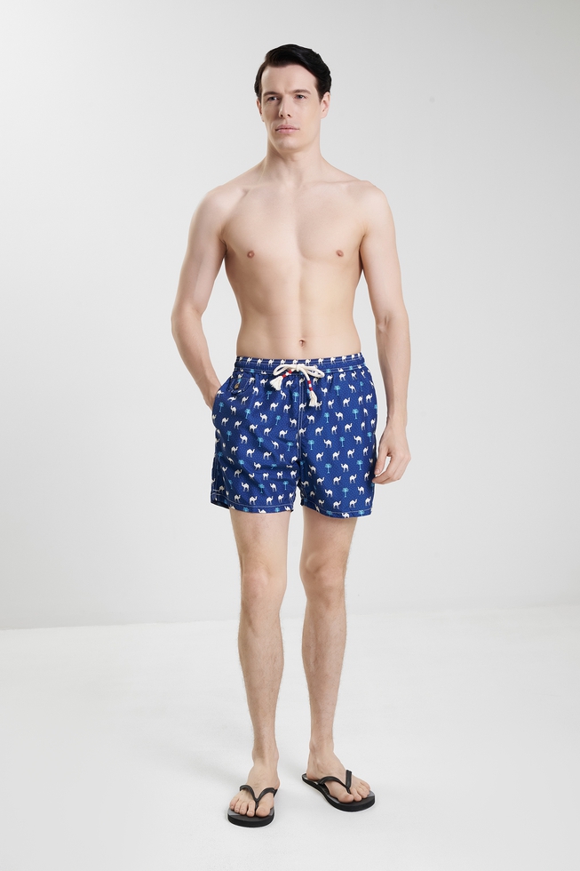 Мужские плавки-шорты 3