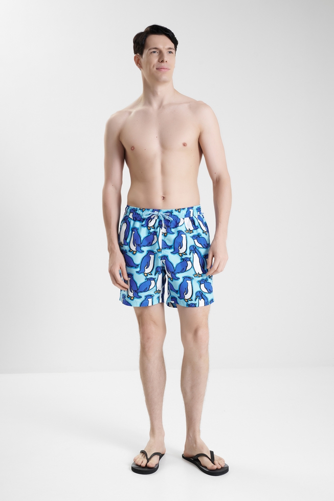  Мужские плавки-шорты  3