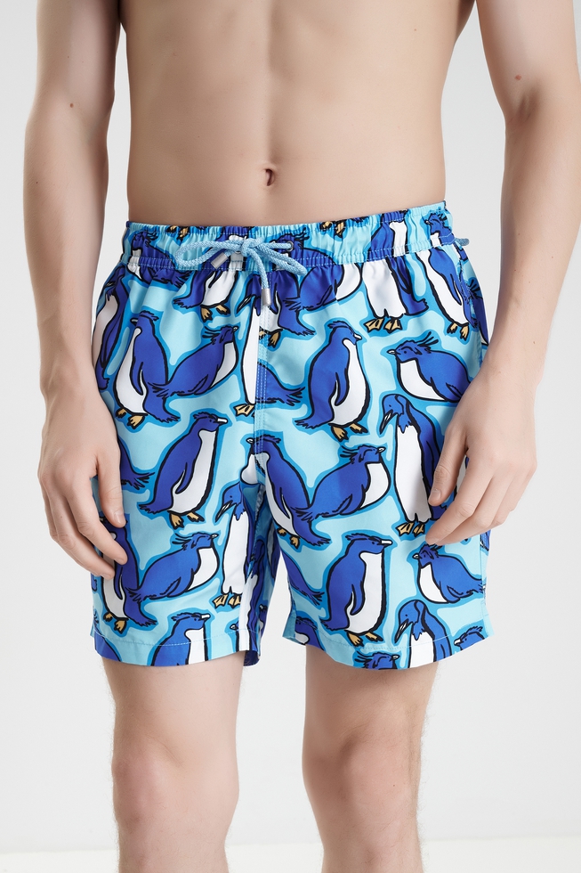  Мужские плавки-шорты  1