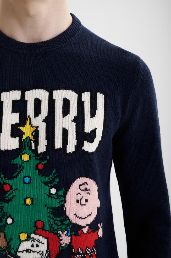 Мужская толстовка 4