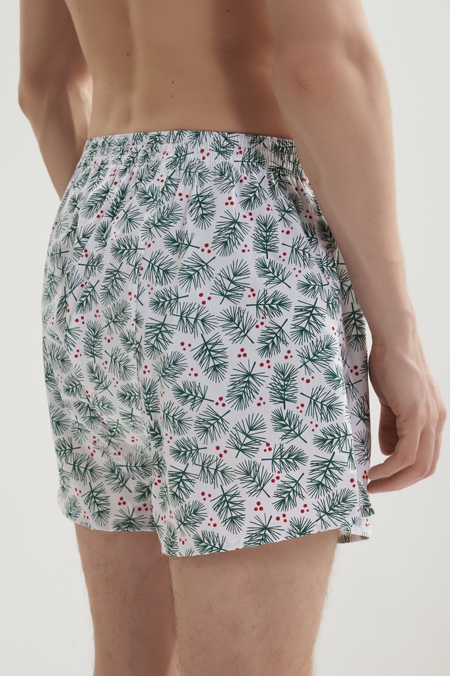 Набор мужские трусы-шорты 2 шт. 6