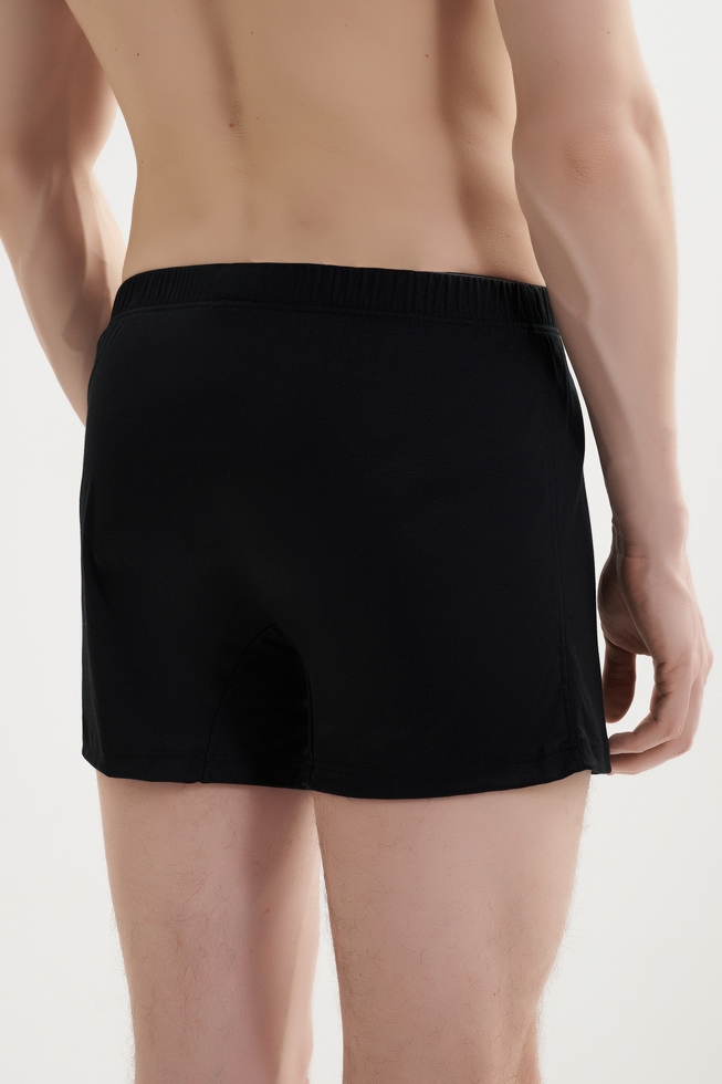 Мужские трусы-шорты на пуговицах  33