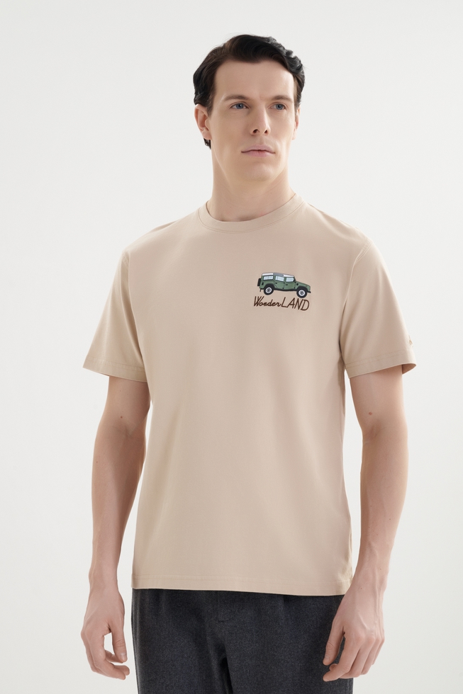 Мужская хлопковая футболка 1