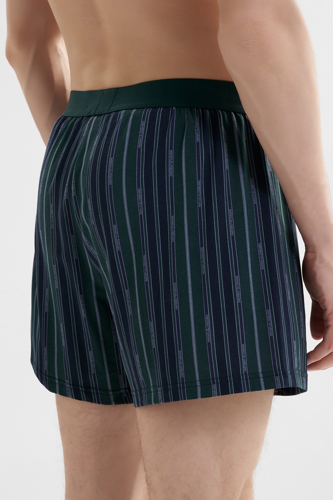 Мужские трусы-шорты 2