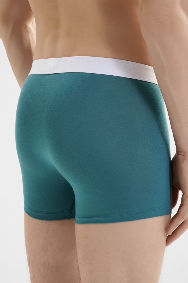 Мужские трусы-боксеры 2