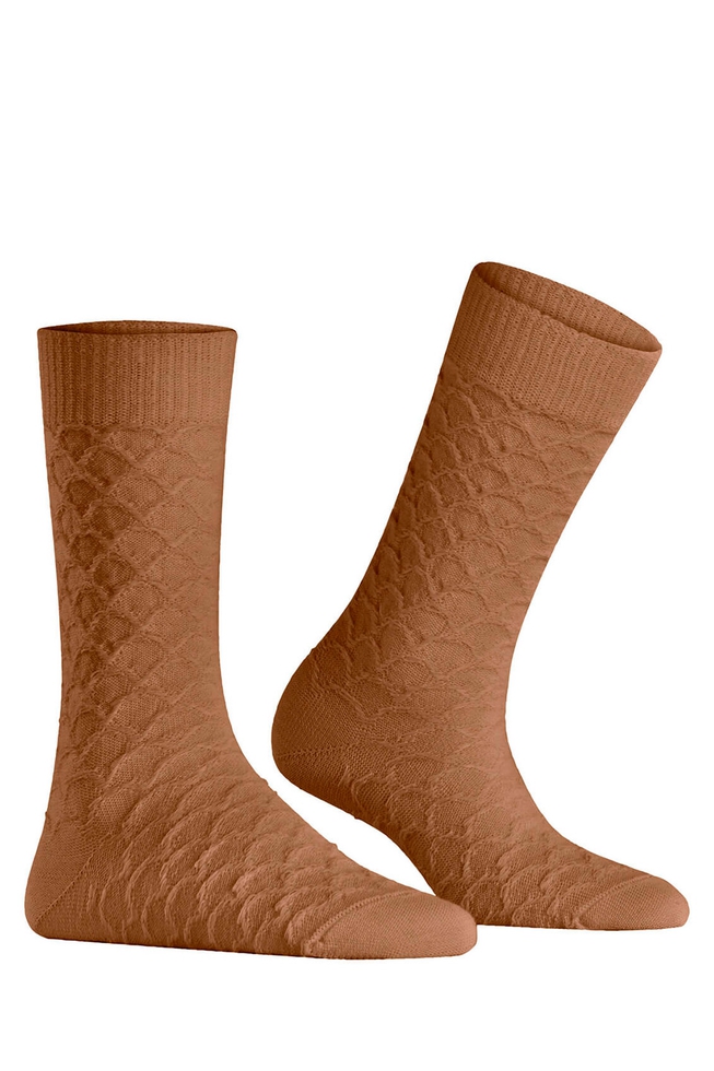 Носки женские коричневые Colossal Nest 3