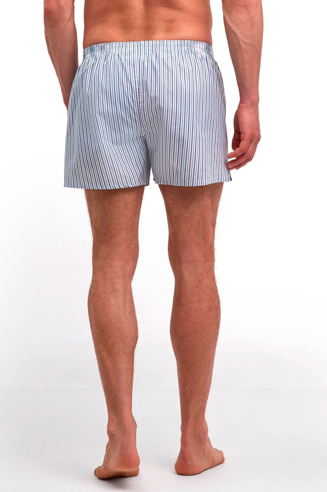 Мужские трусы-шорты в полоску 2