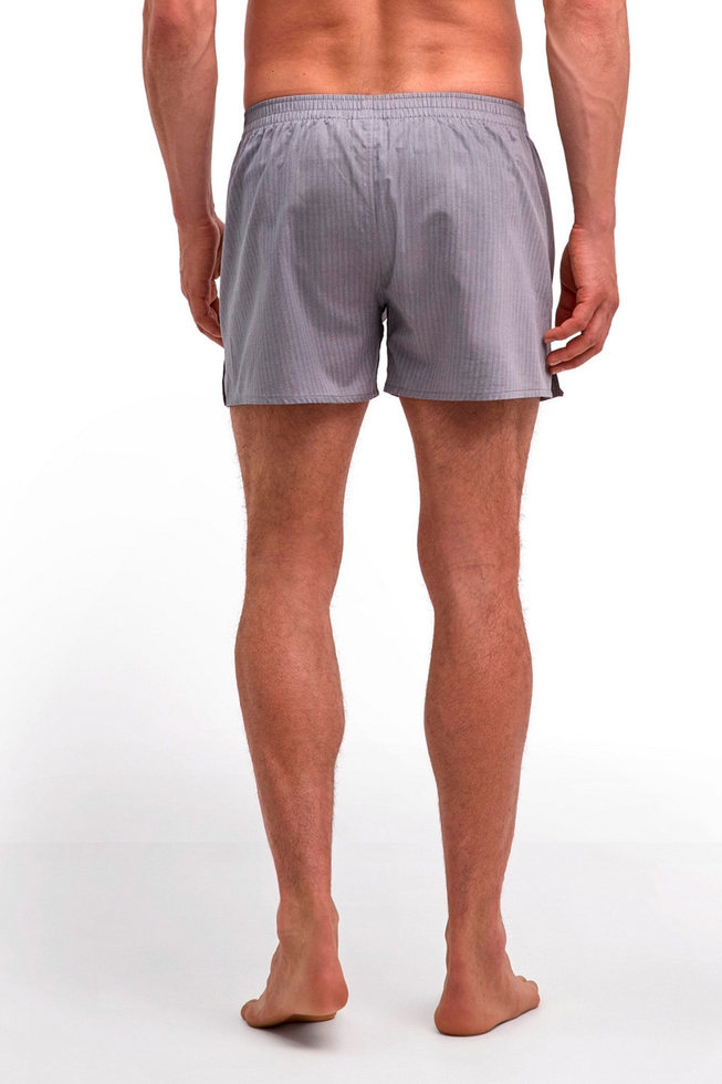 Мужские серые трусы-шорты 2