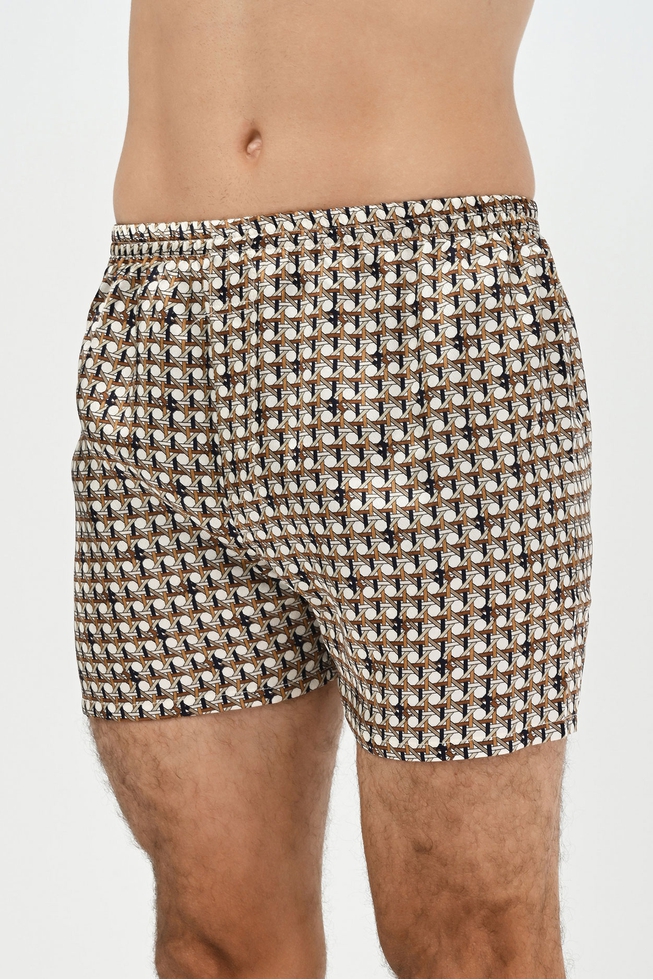 Мужские шелковые трусы шорты 1