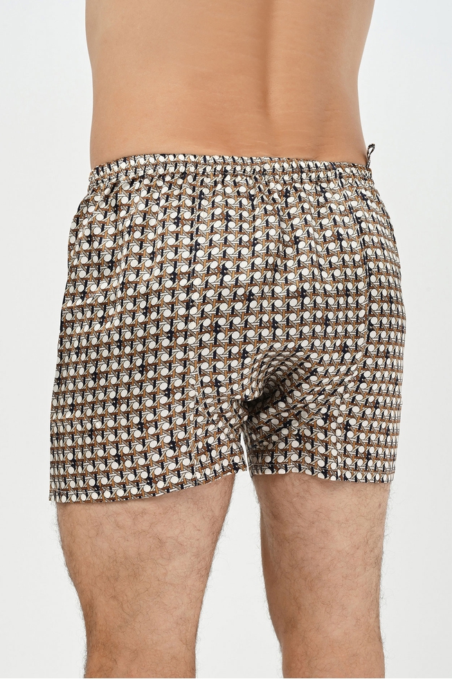 Мужские шелковые трусы шорты 2