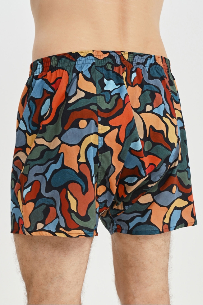 Мужские трусы-шорты 2