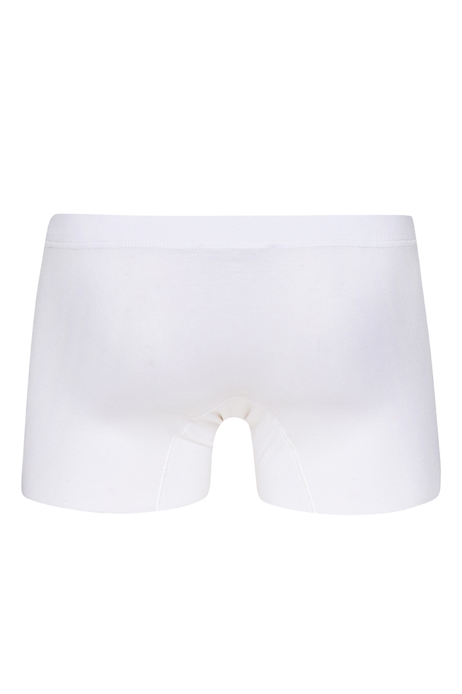 Мужские трусы-боксеры 2