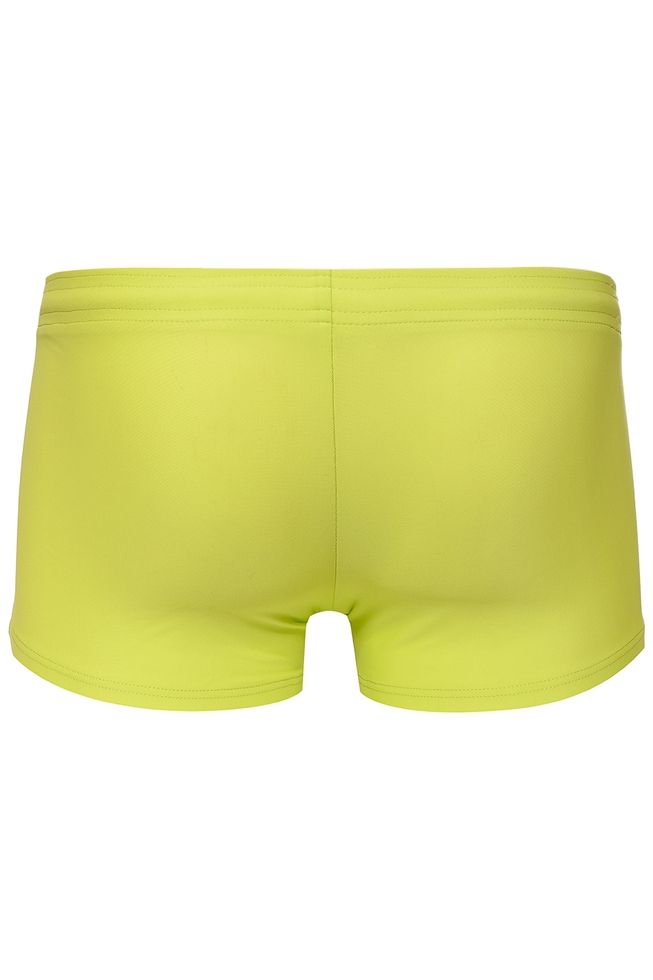 Мужские плавки-шорты 16