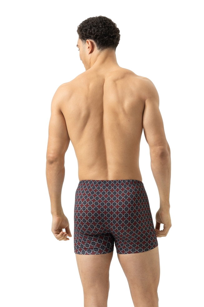 Мужские трусы-боксеры с орнаментом  2