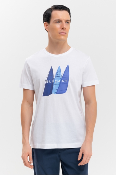  Мужская хлопковая футболка  Bluemint RICCI PRINTED купить в интернет-магазине Bestelle фото 1