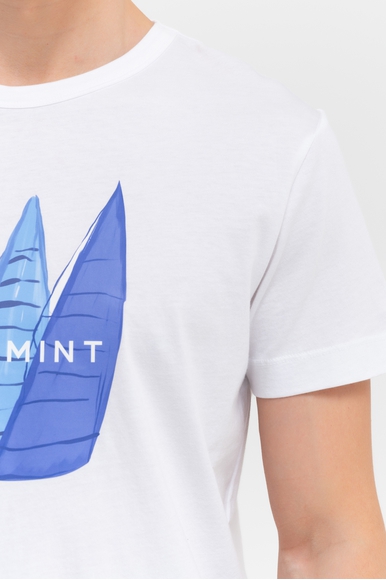  Мужская хлопковая футболка  Bluemint RICCI PRINTED купить в интернет-магазине Bestelle фото 4