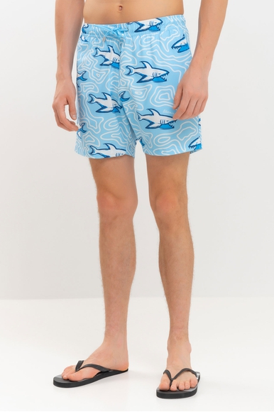  Мужские плавки-шорты  Bluemint ARTHUS STRETCH купить в интернет-магазине Bestelle фото 1