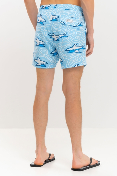  Мужские плавки-шорты  Bluemint ARTHUS STRETCH купить в интернет-магазине Bestelle фото 2