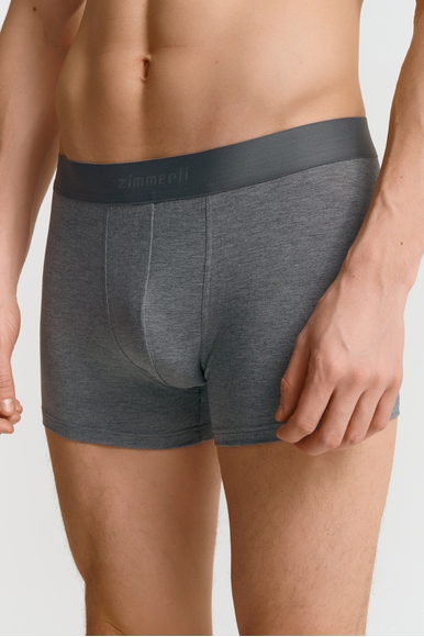 Мужские трусы-боксеры Zimmerli 7001343 купить в интернет-магазине Bestelle фото 44