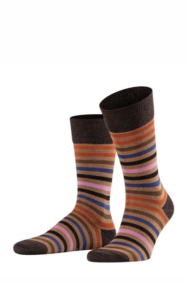 Носки мужские FALKE 13279 купить в интернет-магазине Bestelle фото 2