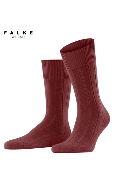 Носки мужские коричневые Lhasa Rib FALKE 14405 купить в интернет-магазине Bestelle фото 1