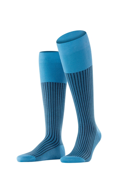 Гольфы мужские синие Oxford Stripe FALKE 15779 купить в интернет-магазине Bestelle фото 1