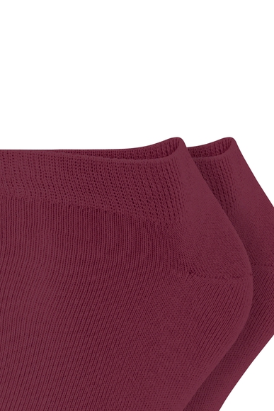 Набор мужских бордовых носков 2 пары Esprit 17855 купить в интернет-магазине Bestelle фото 5