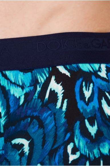   Мужские трусы-боксеры  Dolce & Gabbana M3A03JHS7CD купить в интернет-магазине Bestelle фото 3