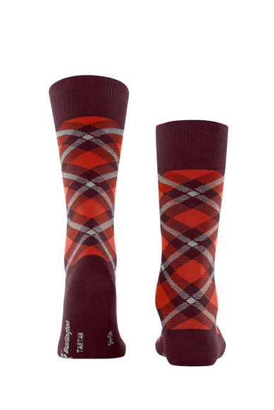 Носки мужские бордовые Tartan Burlington 21084 купить в интернет-магазине Bestelle фото 2
