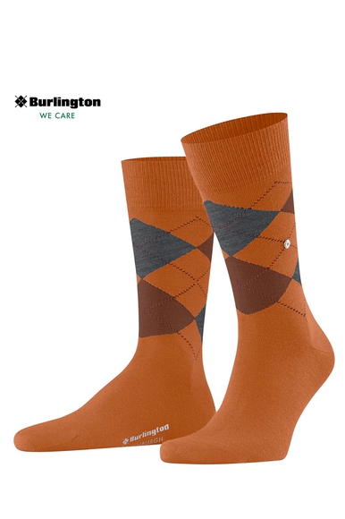 Носки мужские с шерстью  Burlington 21125 купить в интернет-магазине Bestelle фото 1