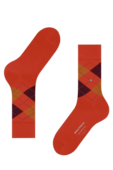 Носки мужские с шерстью  Burlington 21125 купить в интернет-магазине Bestelle фото 4