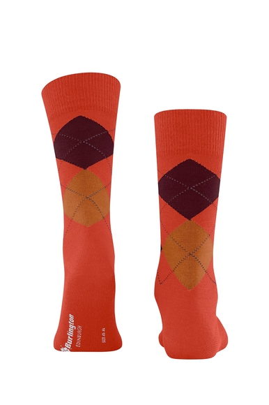 Носки мужские с шерстью  Burlington 21125 купить в интернет-магазине Bestelle фото 2