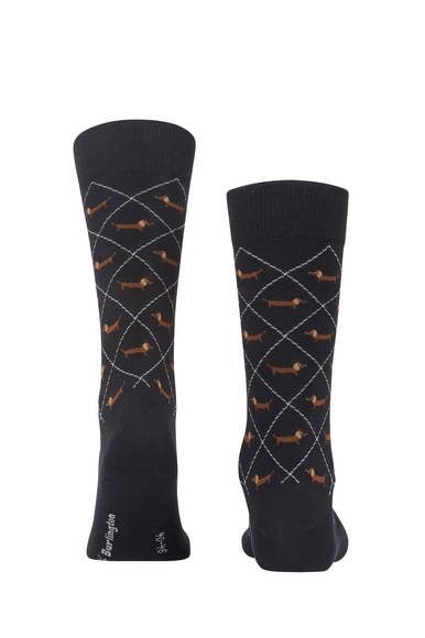 Носки мужские черные Dachshund Burlington 21200 купить в интернет-магазине Bestelle фото 2