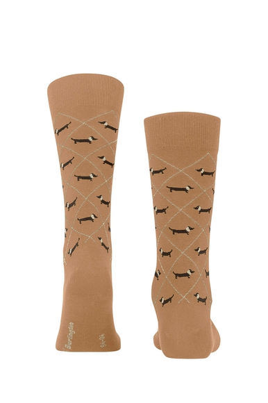 Носки мужские коричневые Dachshund Burlington 21200 купить в интернет-магазине Bestelle фото 2