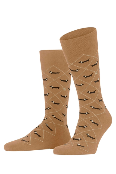 Носки мужские коричневые Dachshund Burlington 21200 купить в интернет-магазине Bestelle фото 1