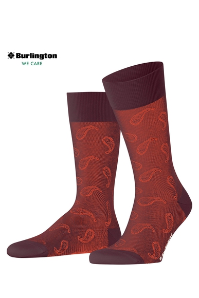 Носки мужские бордовые Paisley Burlington 21207 купить в интернет-магазине Bestelle фото 1