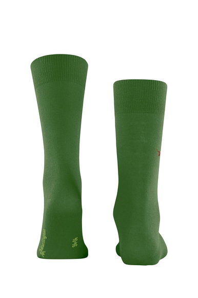 Носки мужские зелёные  Burlington 21405 купить в интернет-магазине Bestelle фото 2